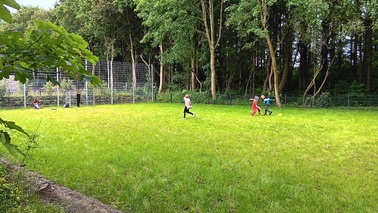Fußball spielende Kinder auf einem Rasenbolzplatz